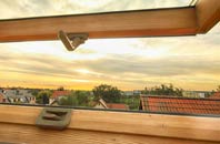 rated Newlyn roof window companies